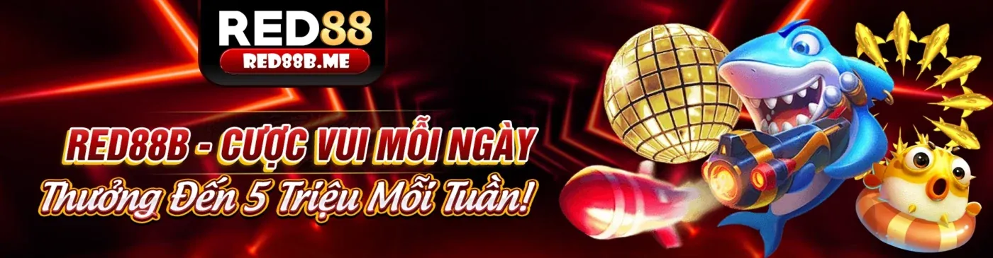Hình ảnh chính Blog GI8 link vào
